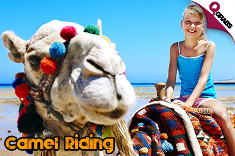 From QR110 Child/QR160 Adult, Explore the Desert with a Half Day Safari Adventure With OR Without Camel Rides! (Up to QR300/QR400 Value)